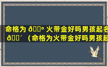 命格为 🌺 火带金好吗男孩起名 🐴 （命格为火带金好吗男孩起名大全）